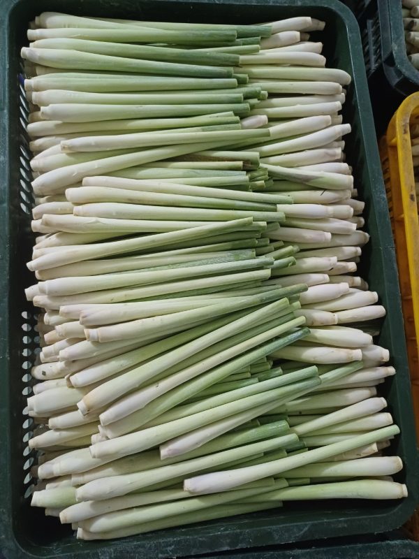 Fresh Lemongrass